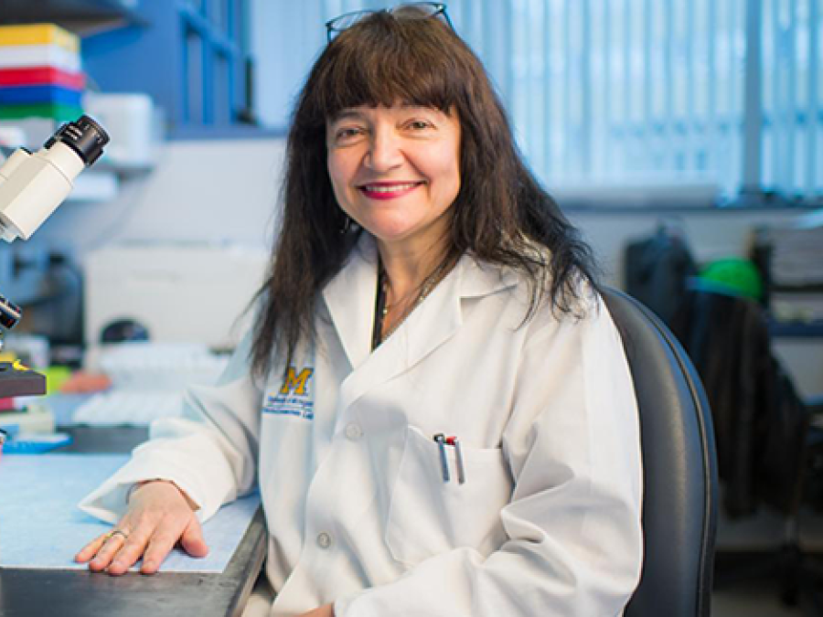 Smiling photo of Maria Castro seated at a desk in her laboratory.